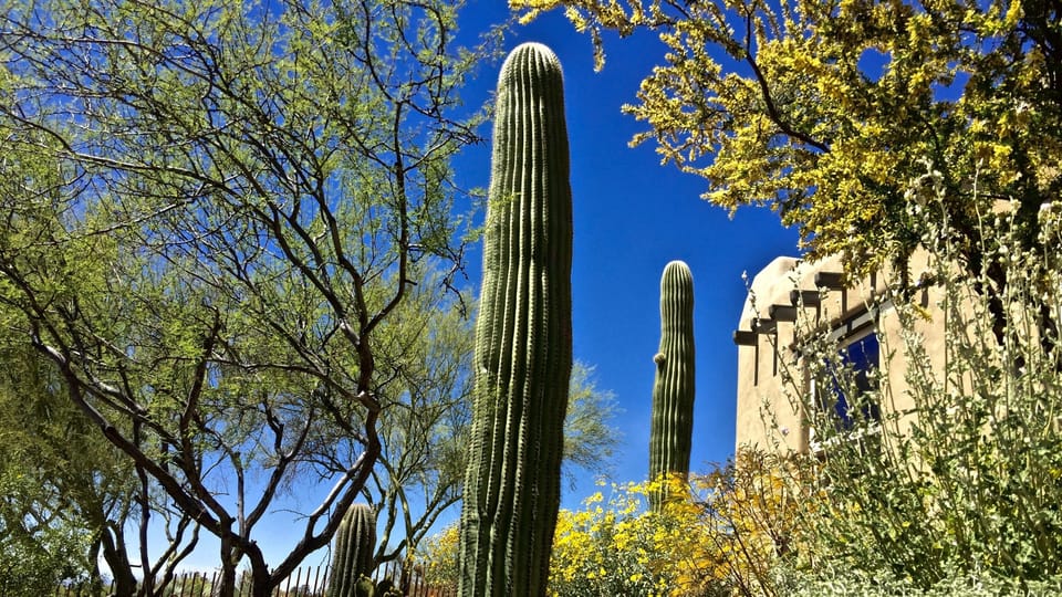 An acre of natural desert surrounds this home offering privacy + tranquility