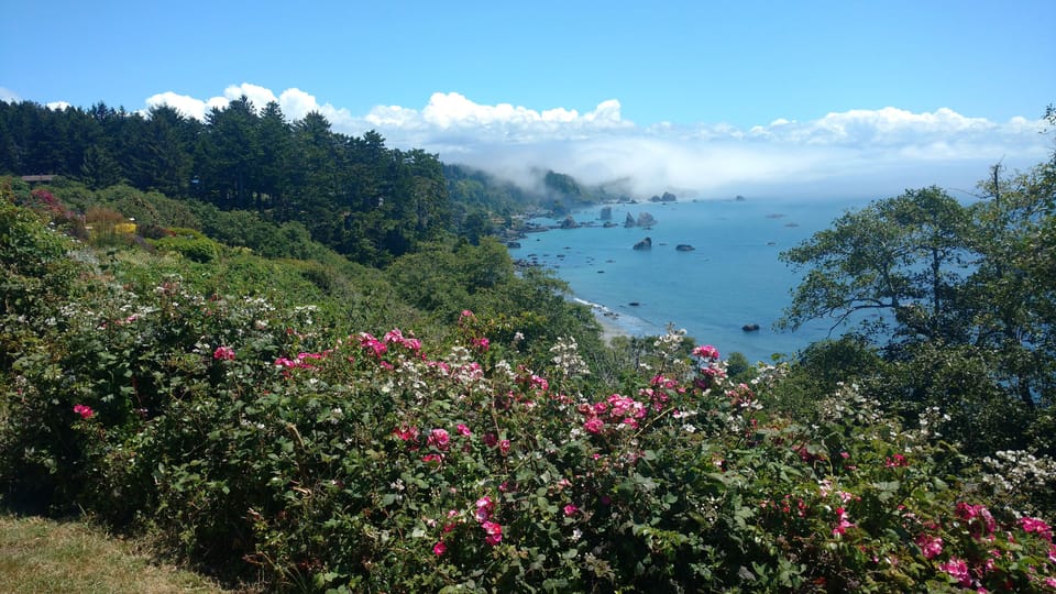 view from the property