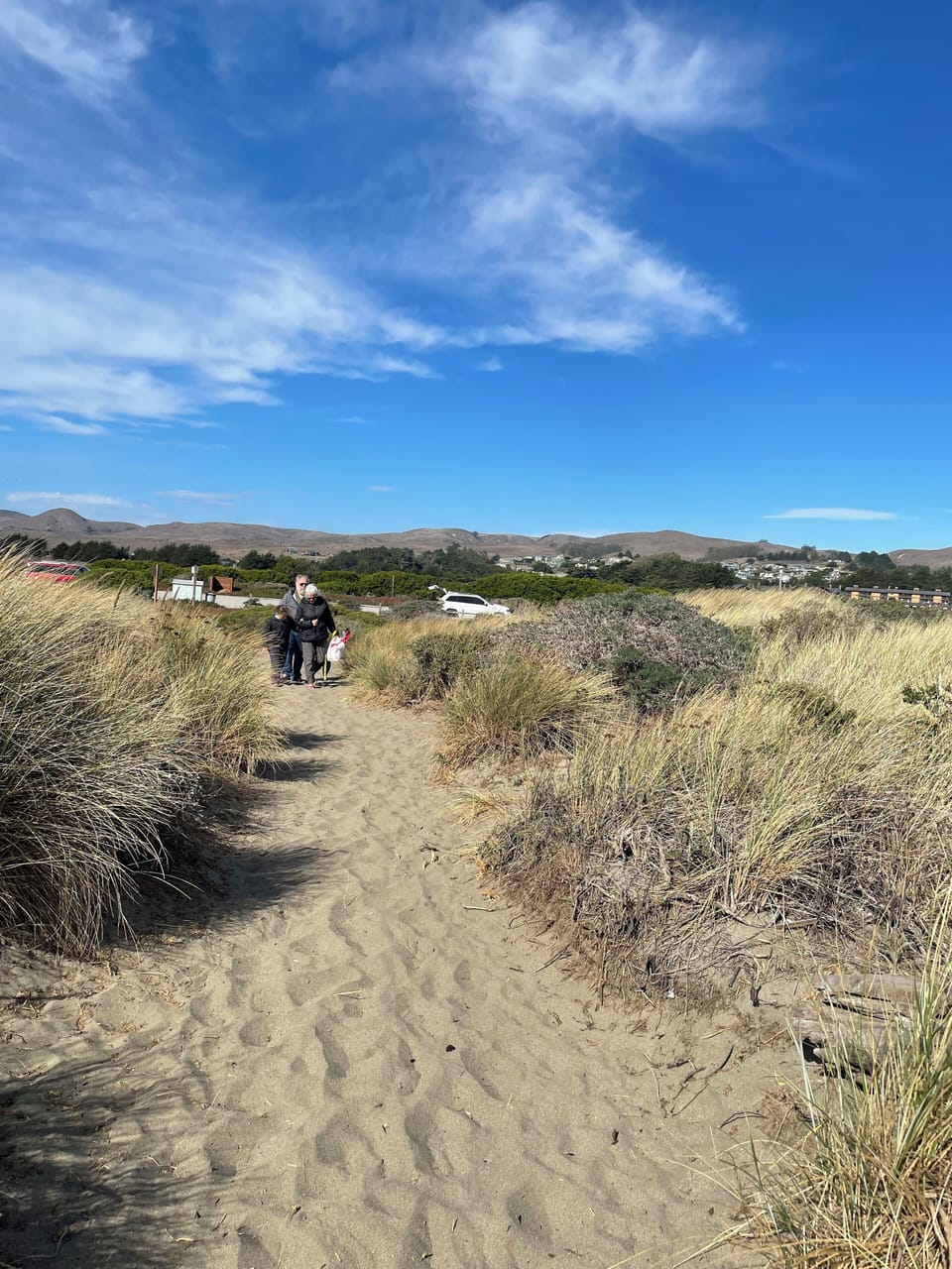 Path to the beach