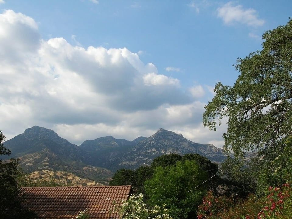View from back yard