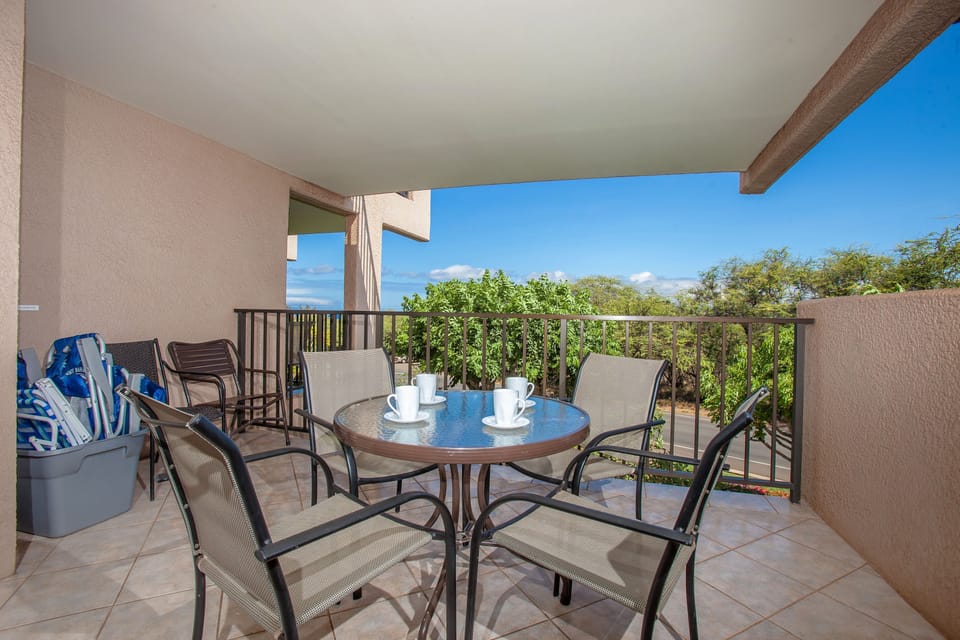 Large Lanai