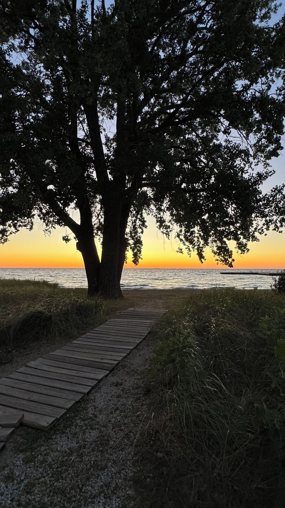 Convenient parking near the beach at Frank Murphy.