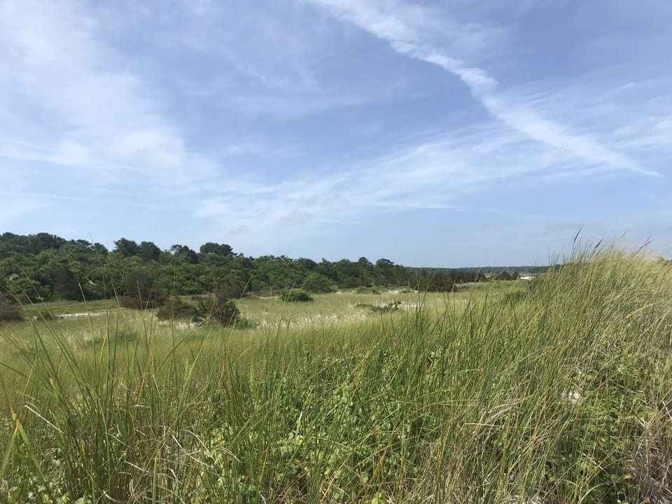 Wing’s Island