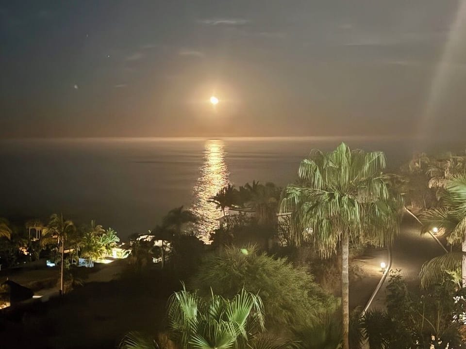 Moon over the ocean at night from the house