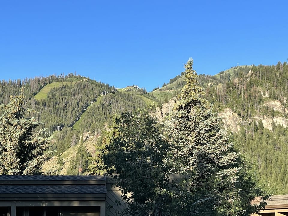 View of Baldy from condo (summer).