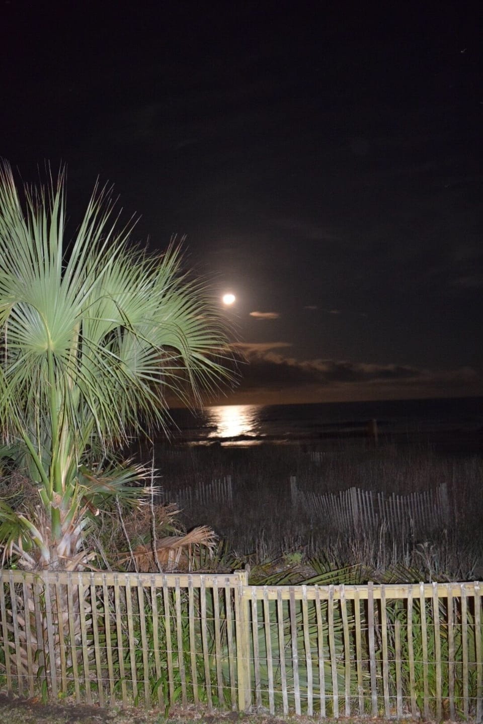 Night view from condo porch