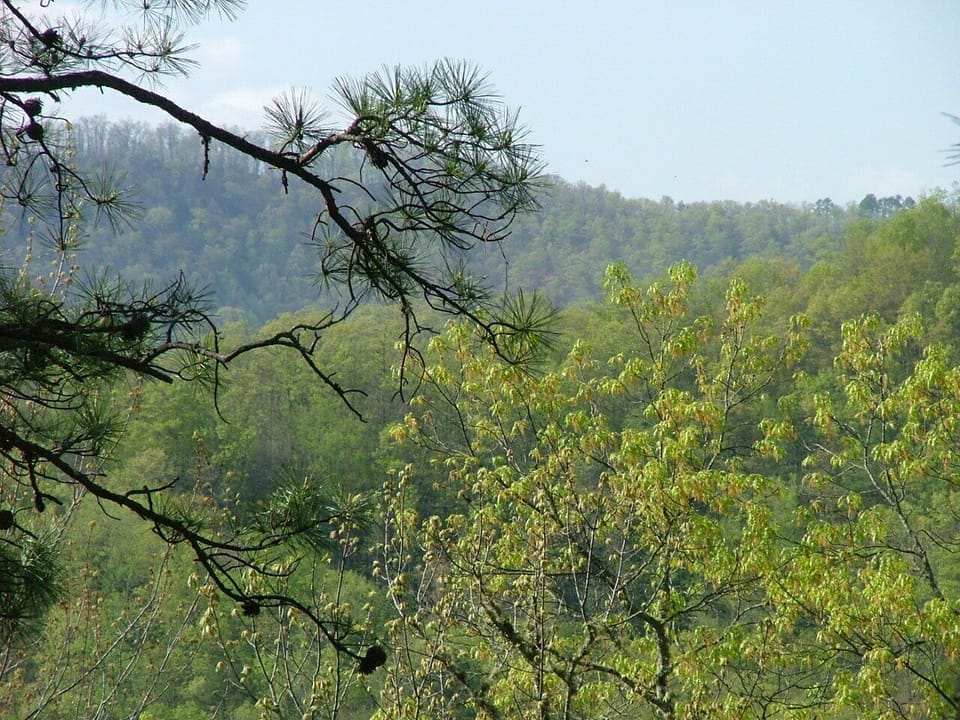 View to Northwest from deck
