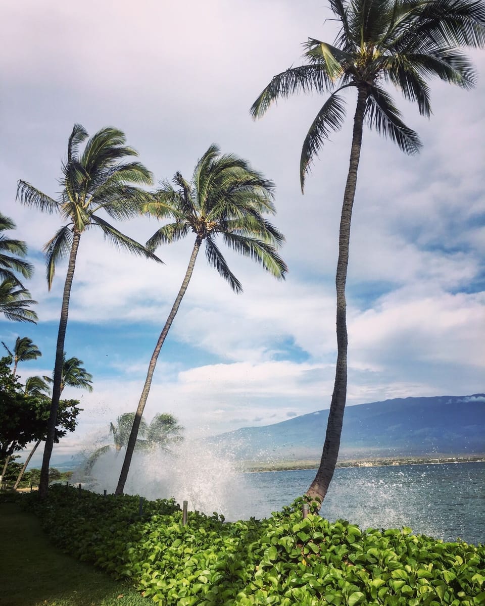 Soothing sights & sounds of the surf