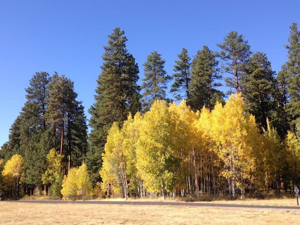 View from the bike path near the stables.