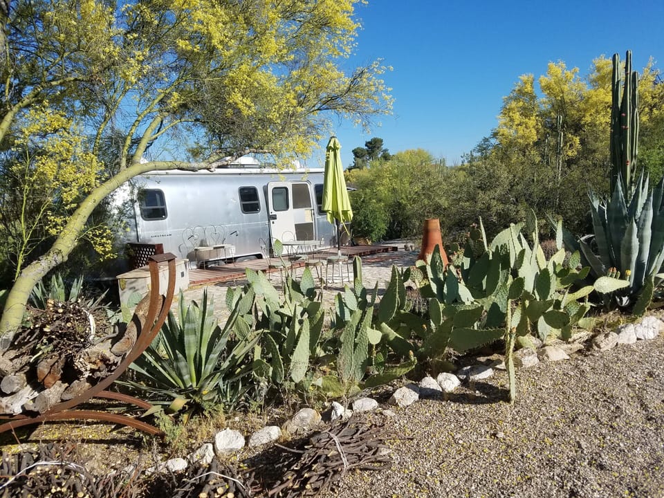 Cactus garden, granite patio, wood deck