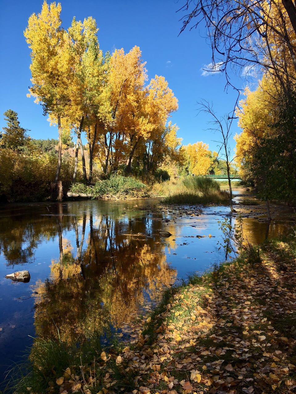 Nature trail across the street at Rapid Creek! 