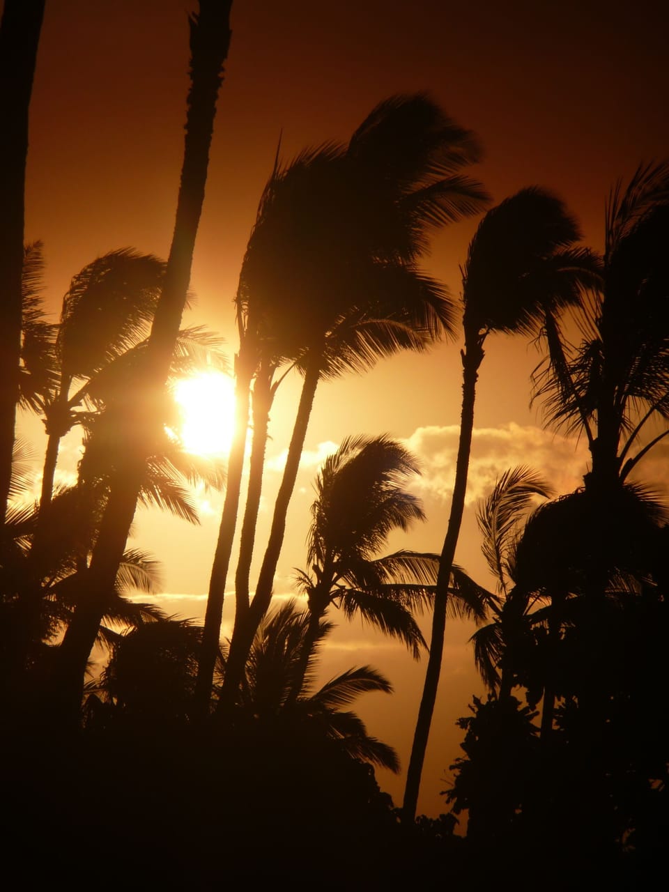 We can't get enough of our sunset views... sigh.. You'll love them too!