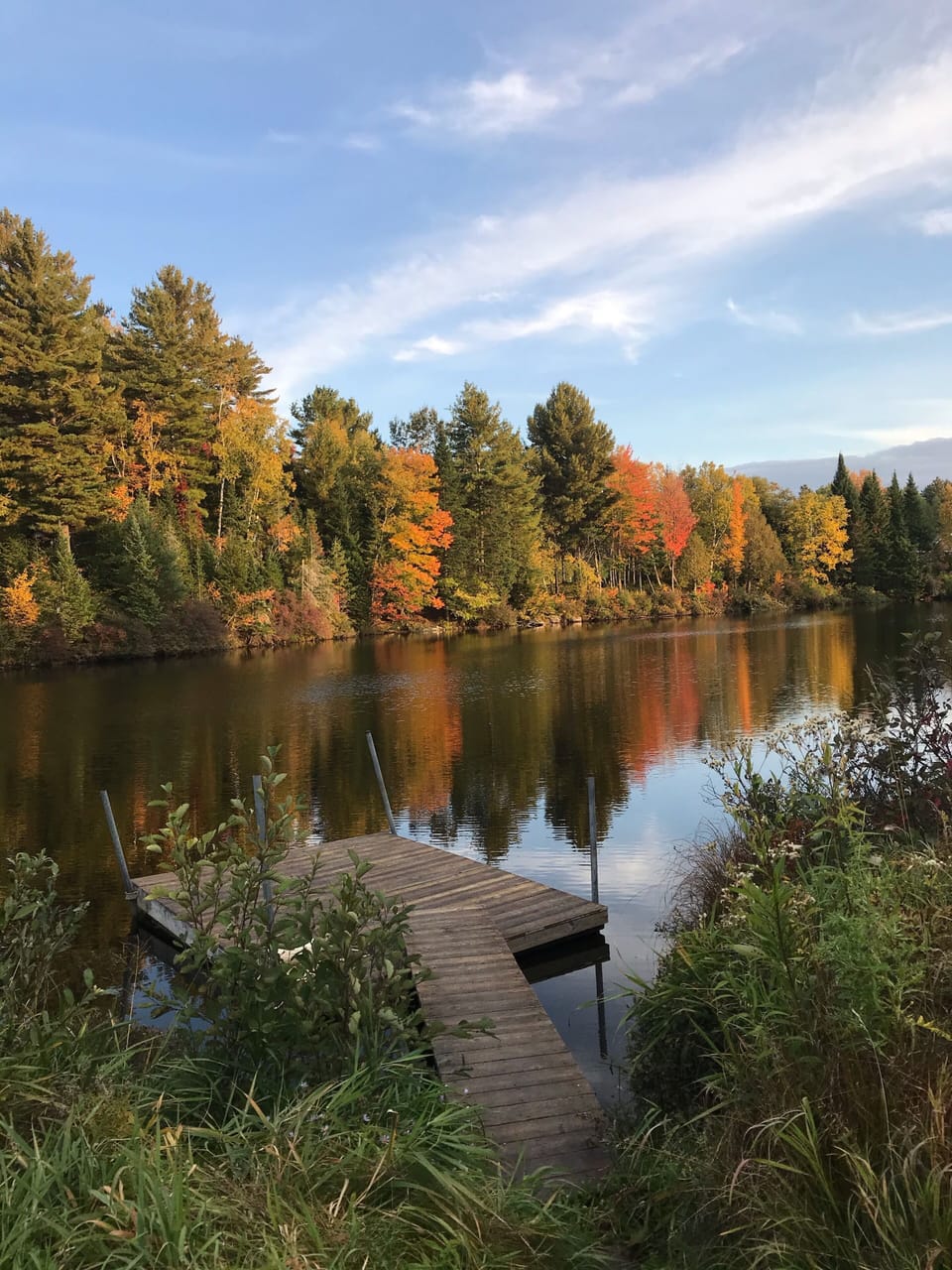 Fall on Mill Pond.