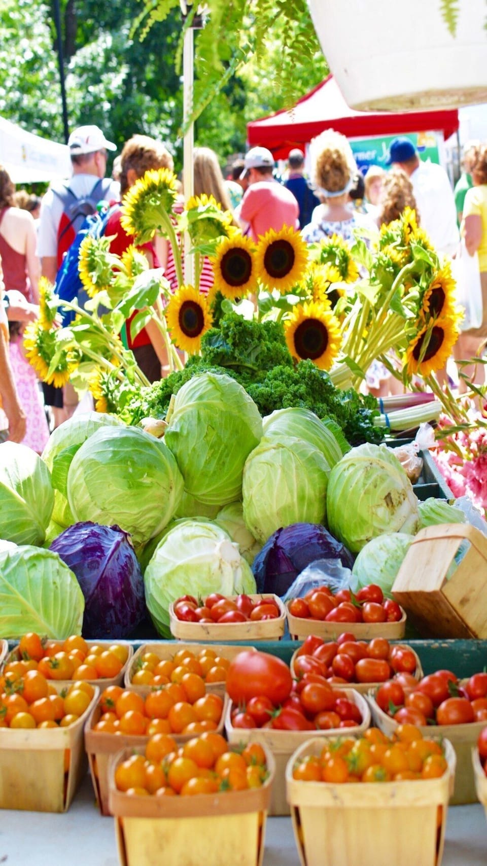 Bethany Beach Farmers Market Every Sunday 8am- 12pm, between June 3 - Sept 2