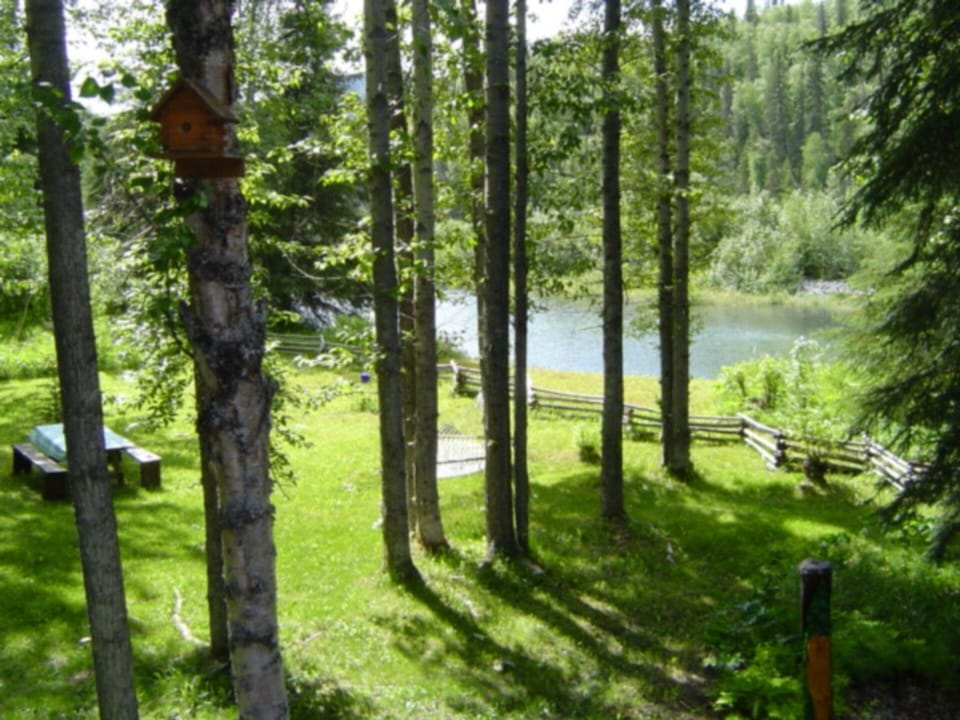 The yard from the balcony