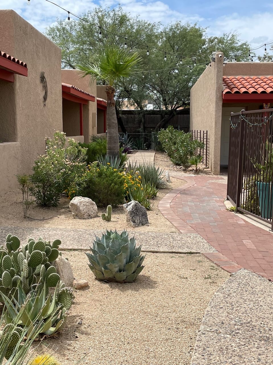More desert botanicals to enjoy.