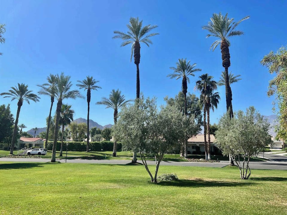 View from patio