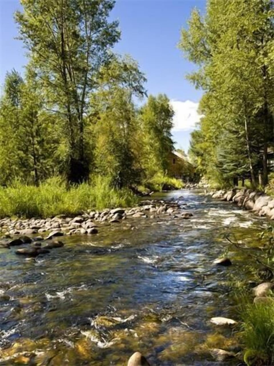 View of Roaring Fork river frontage.