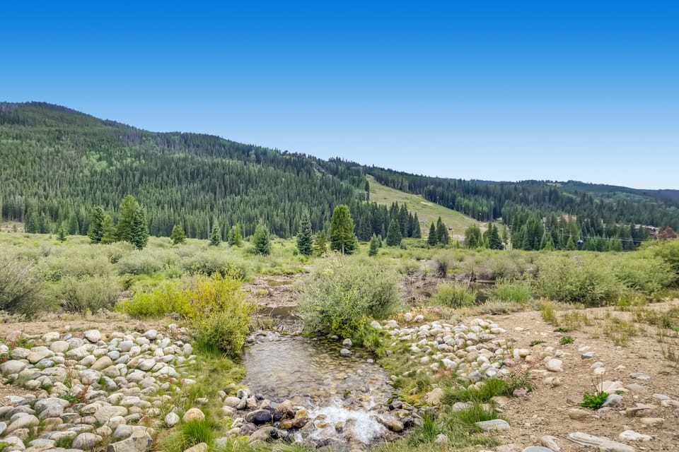 Protected wetlands between Red Hawk Lodge and Keystone Resort Gondola