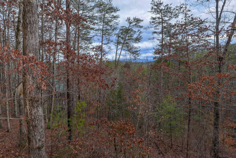 Log Cabin in Wears Valley "Angels Gift" - Mountain views