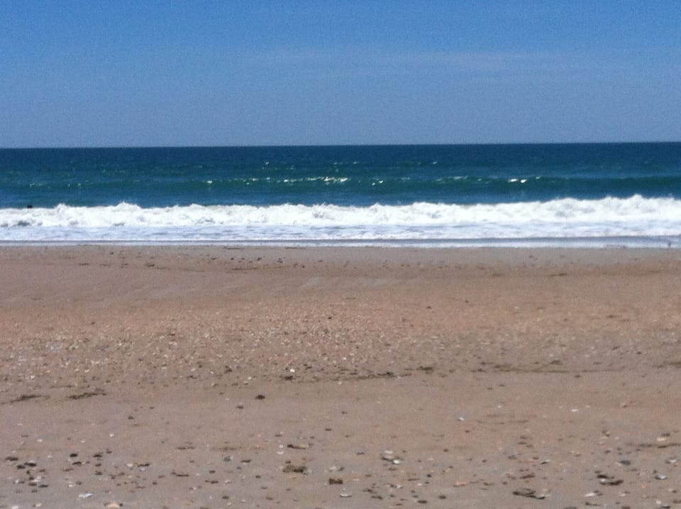 Aw, the beach! 