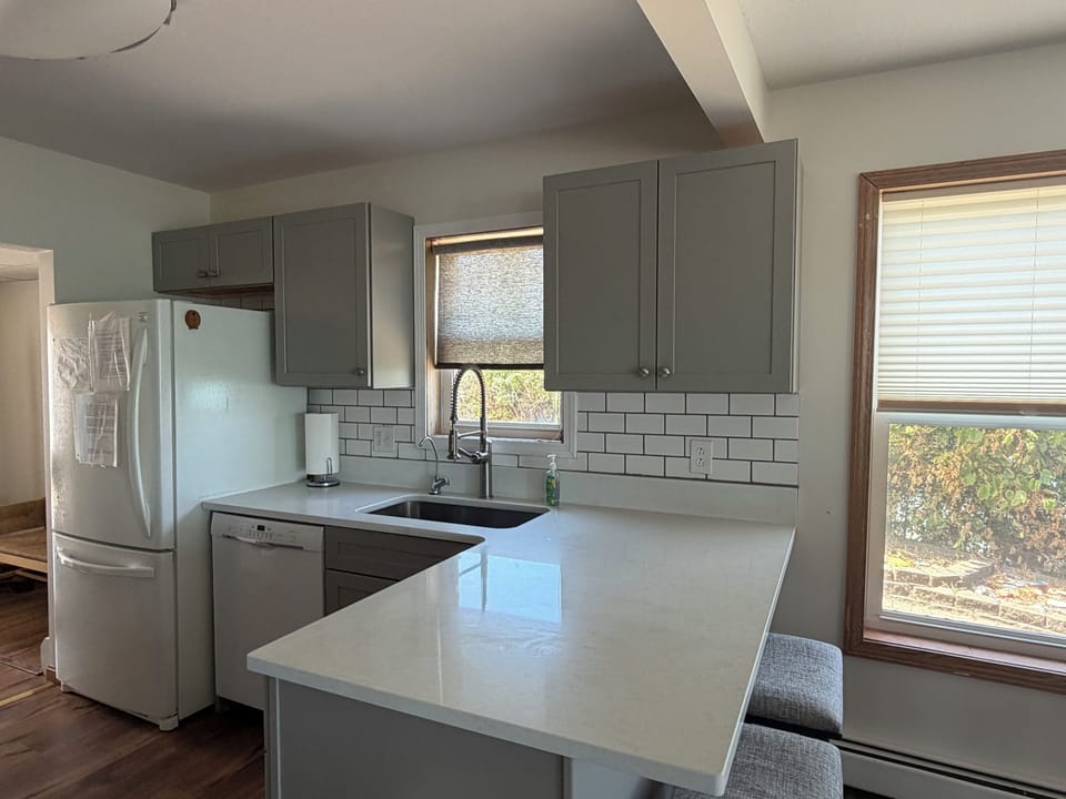 Dishwasher & fridge 