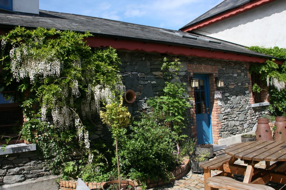 Teach Mor in spring