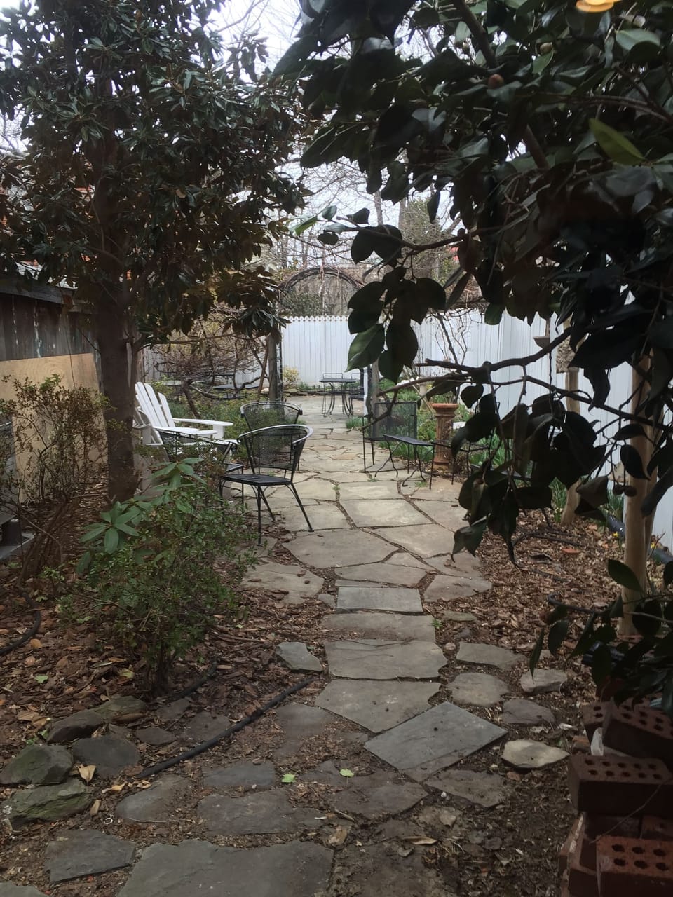 The hidden garden is a perfect spot for breakfast on a sunny day.