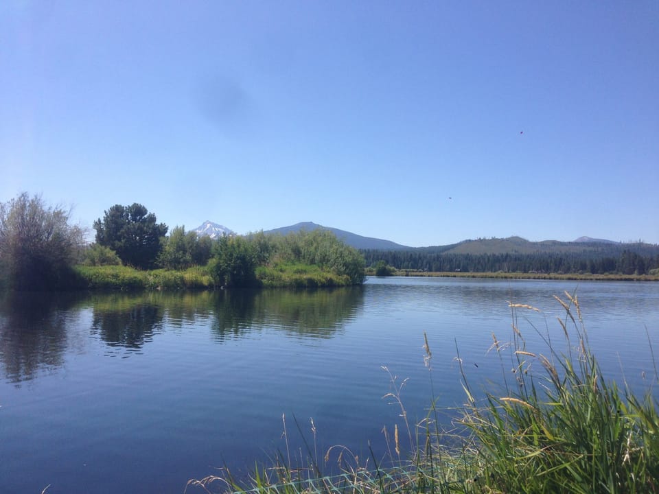 Favorite place on the Ranch to read a book or fly fish