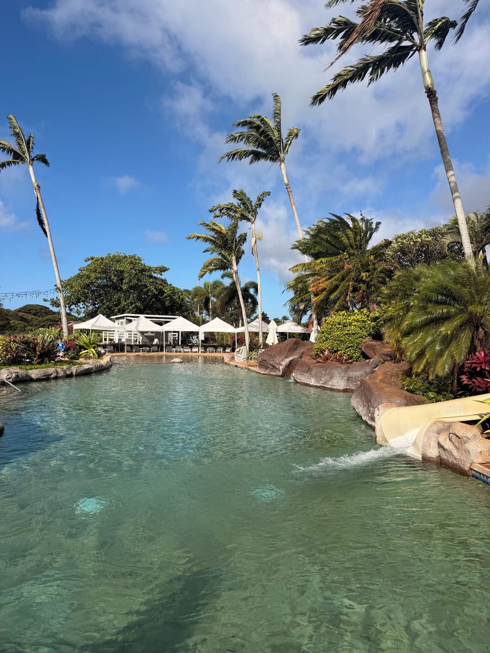 On-site pool with all the amenities