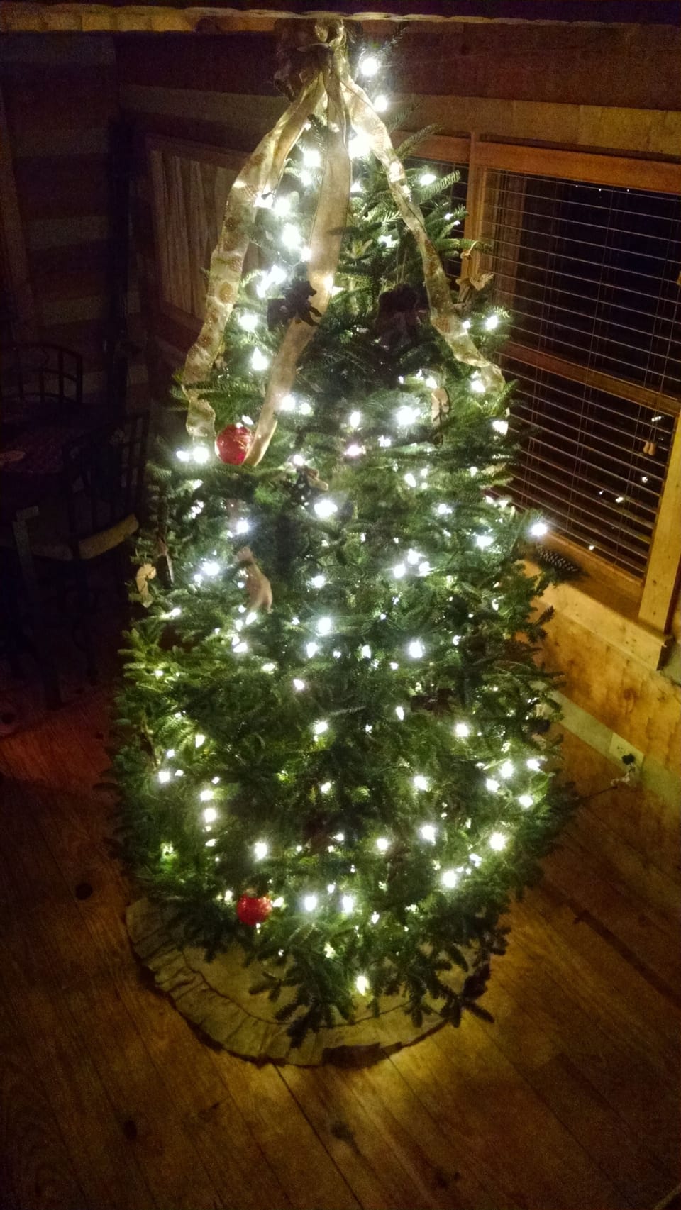 Ole Christmas Tree, Ole Christmas Tree how your lights shine so brightly!