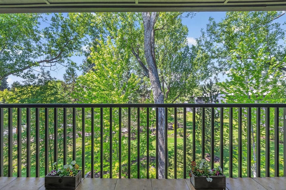 Balcony with black metal railing overlooks leafy green trees and a manicured lawn under a clear blue sky.