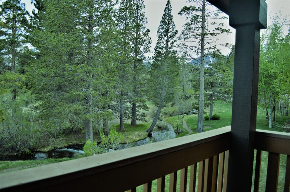 Views and Creek!