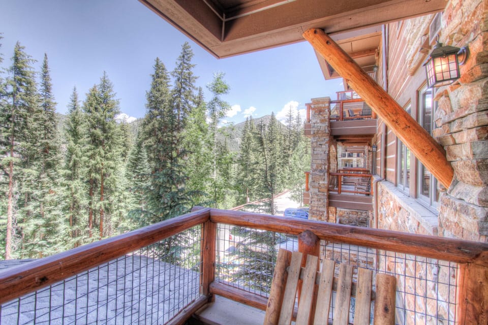 Breathtaking view w/ sounds of the Snake River flowing from covered porch.