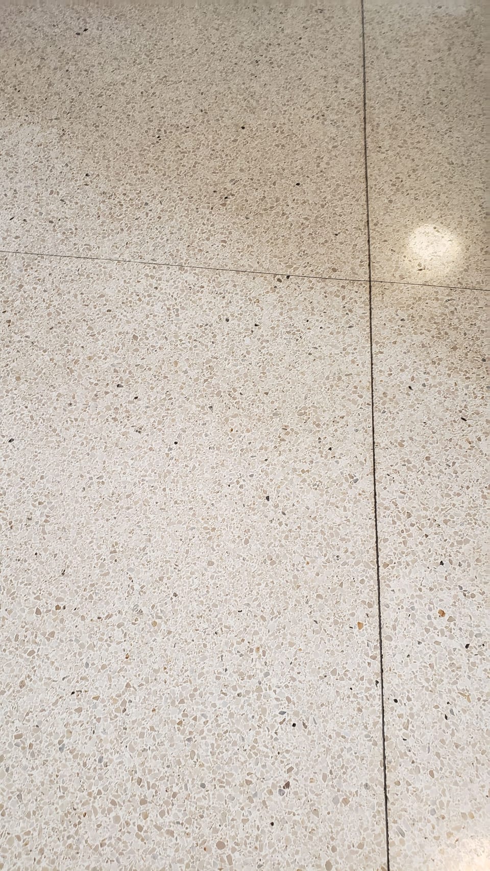 1960s retro terrazzo flooring throughout
