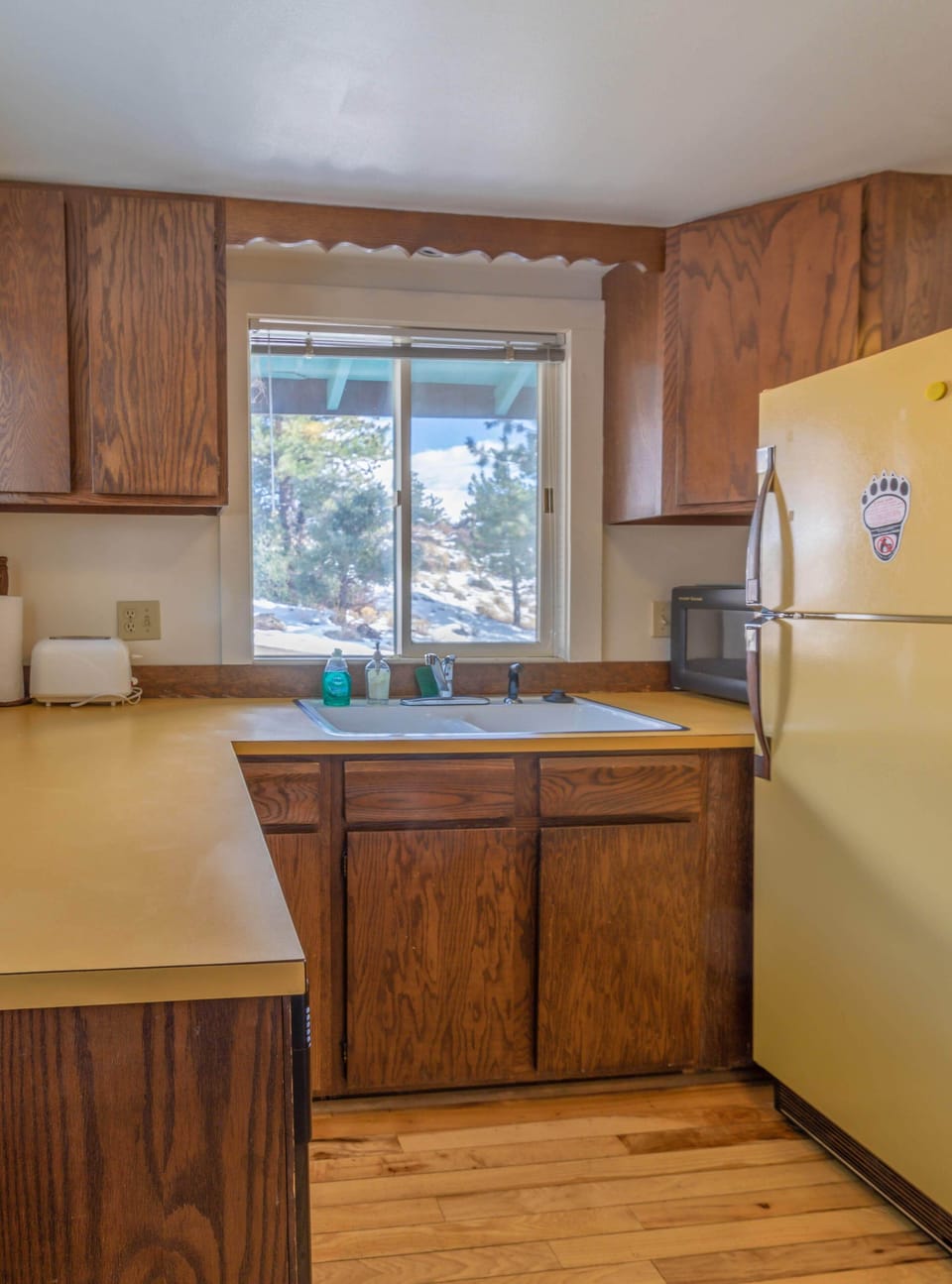 Kitchen, fridge and dishwasher.