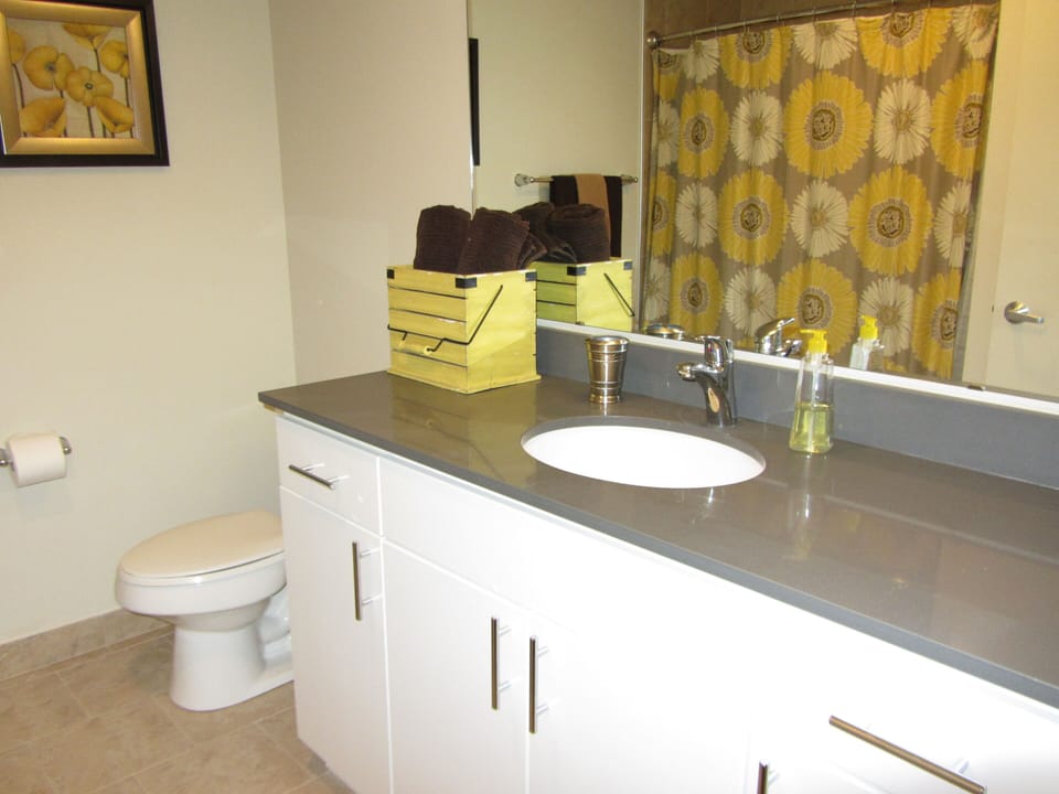 Main bathroom w/ quartz  counter tops, towels, hair dryer, soap, shampoo, etc
