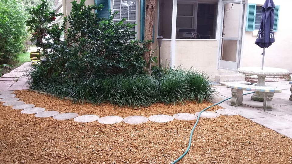 BACK YARD
