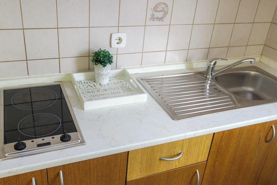 Apartment, 1 Bedroom, Terrace | Private kitchen | Fridge, stovetop, electric kettle, griddle