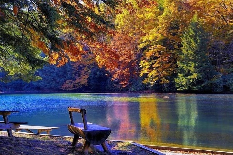 Walk to state park with lake, picnic areas, and hiking trails