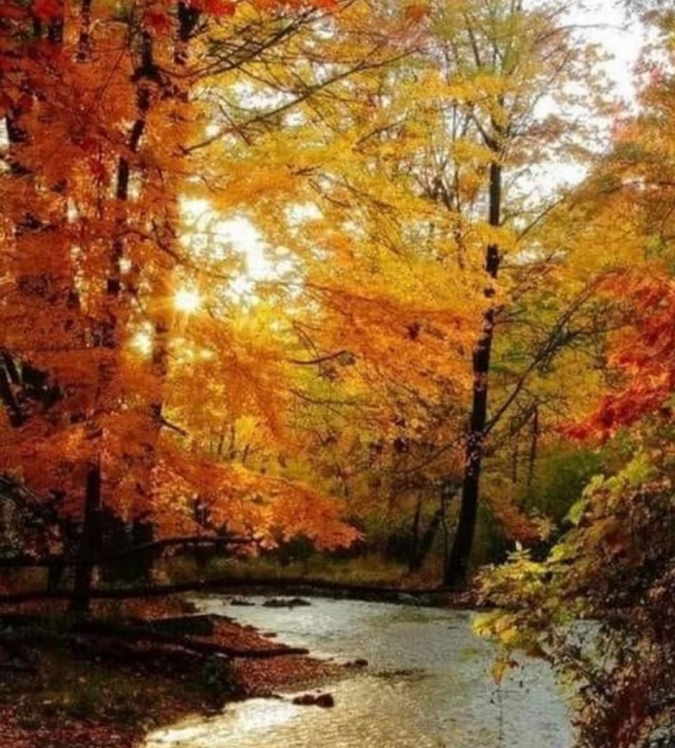 River during Fall season.