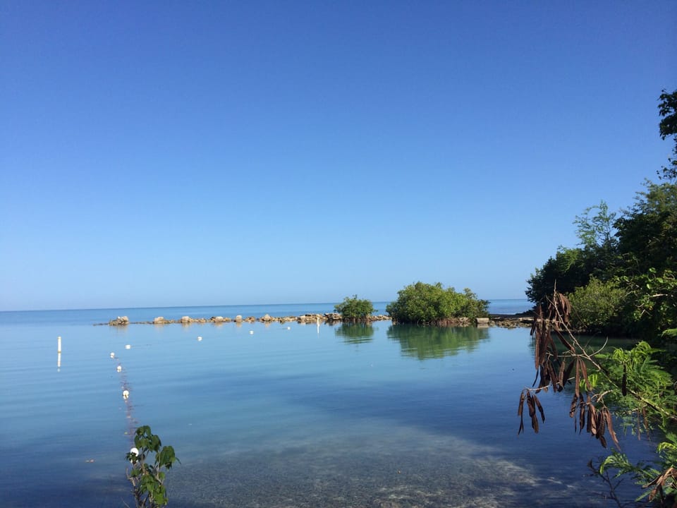 Small but nice beach swim area.