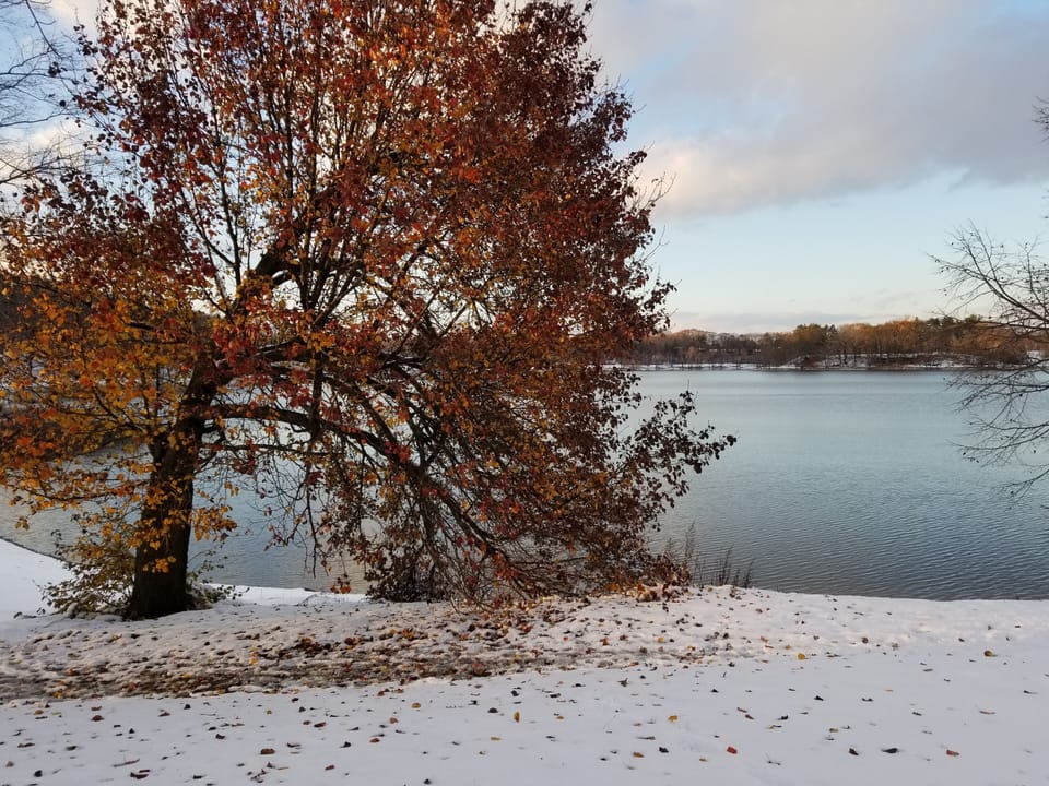 Jamaica Pond -remnants of fall with an early winter snow