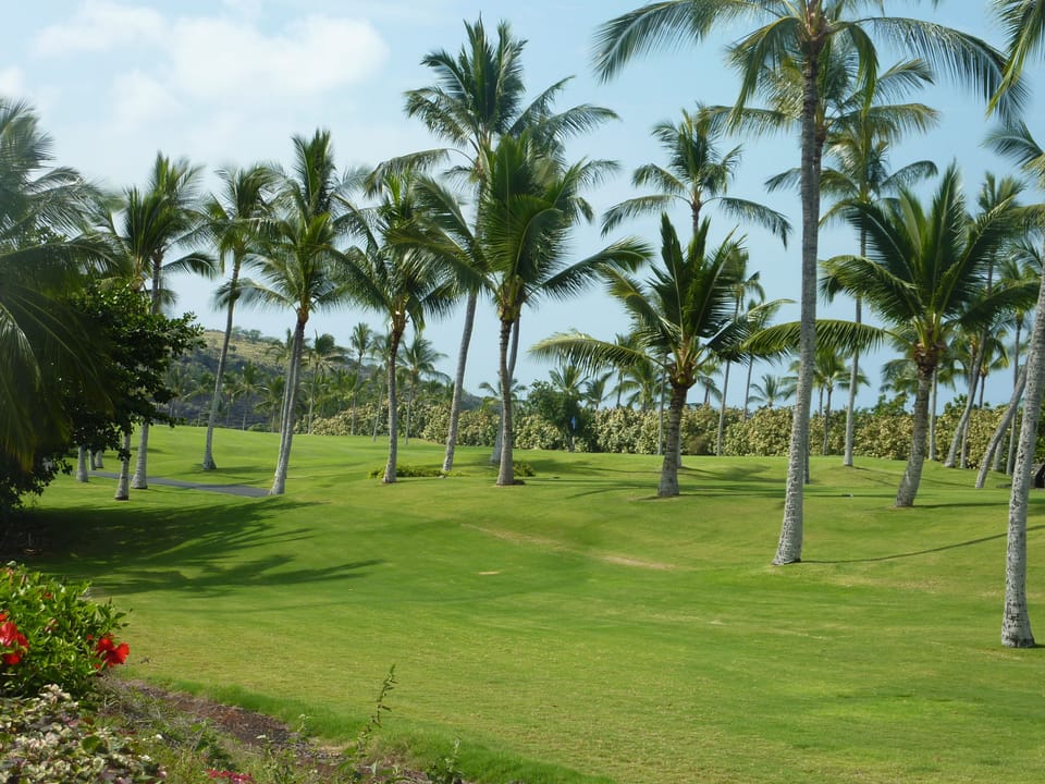 Golf Course View