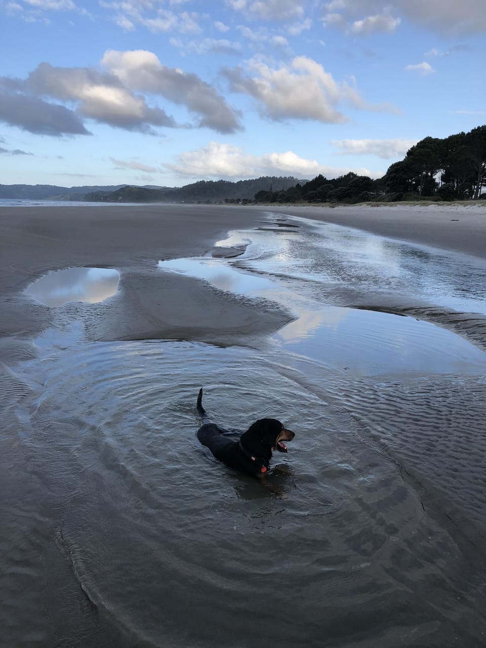 Matarangi Beach