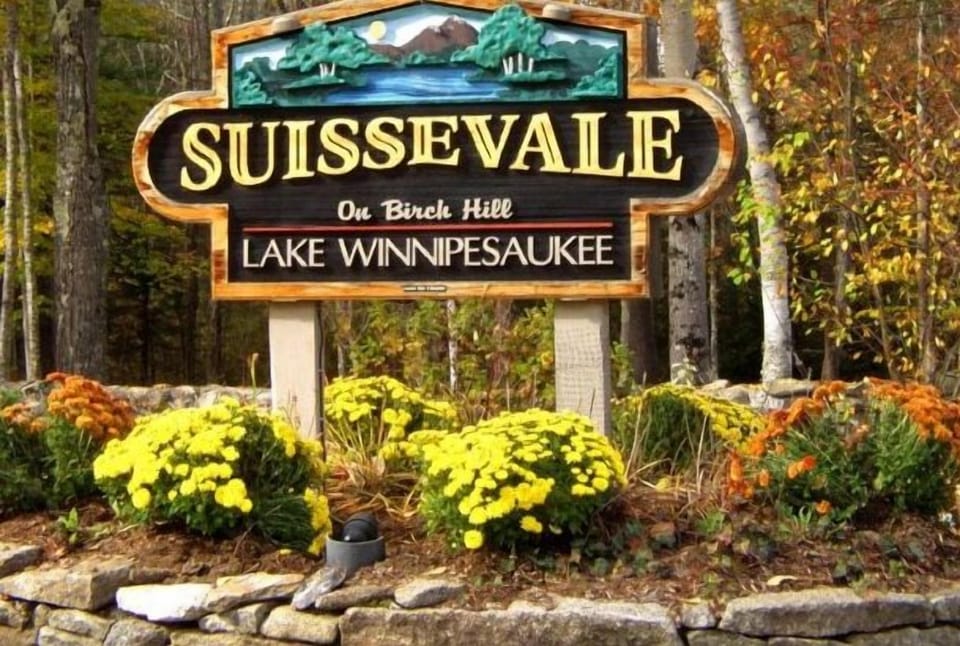 Welcome to Suissevale