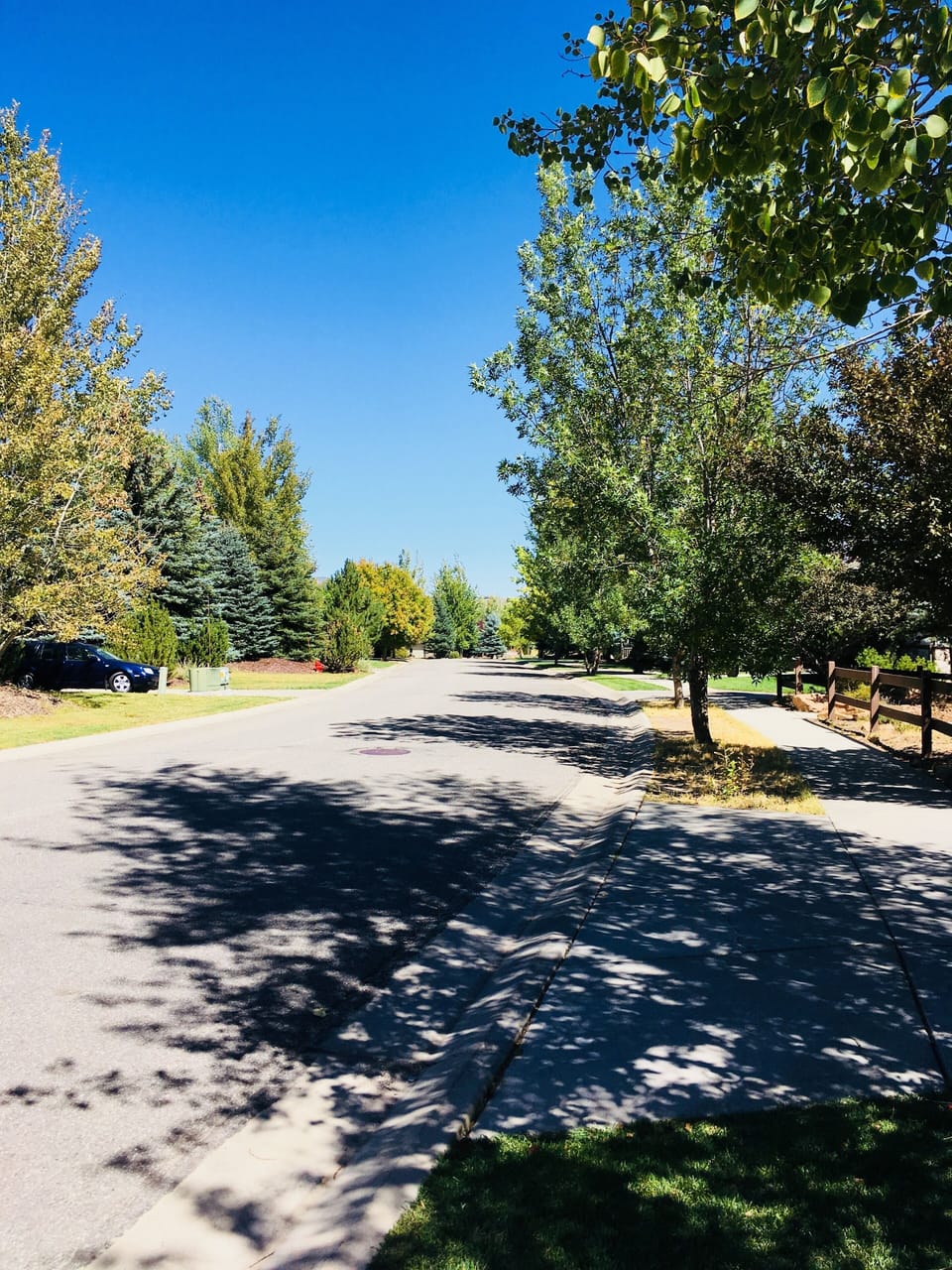 Tree-lined street. A bus stop is right in front of the building.