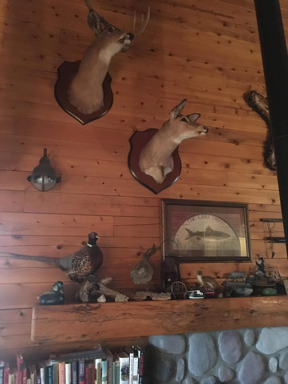 Interior detail