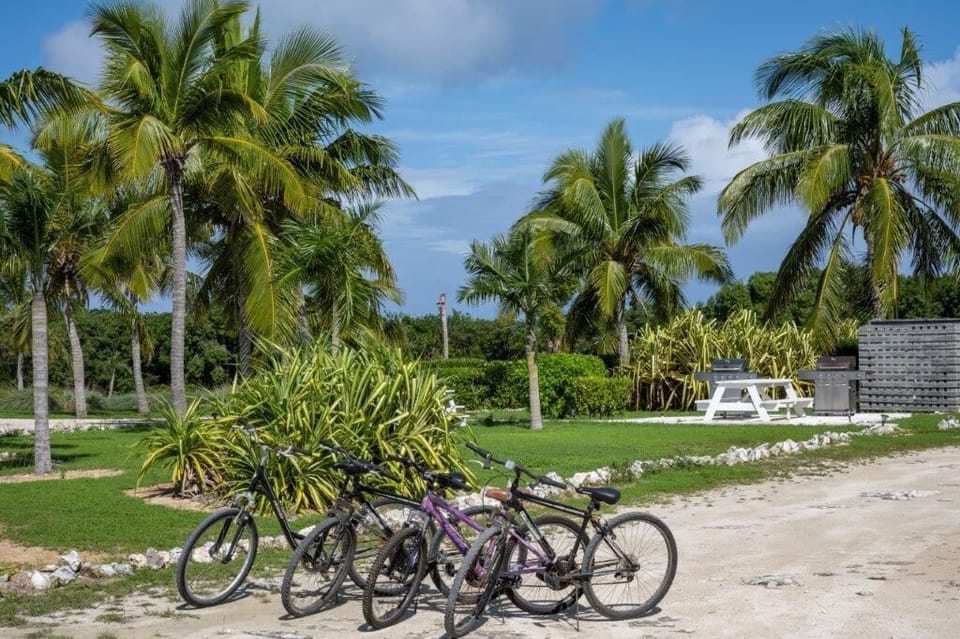 Bikes available at no charge!