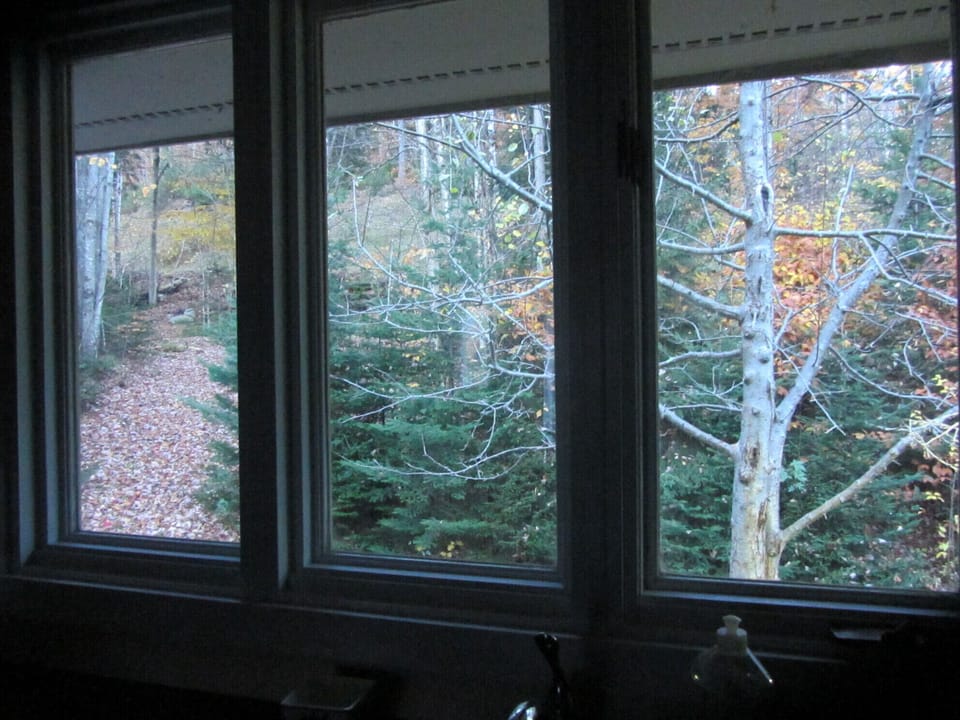 Autumn kitchen window view to direct ski trail access on left